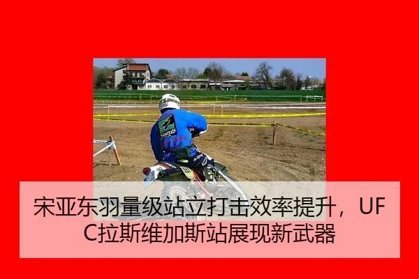 song-ya-dong-yu-liang-ji-zhan-li-da-ji-xiao-lv-ti-sheng-la-si-wei-jia-si-zhan-zhan-xian-xin-wu-qi-3-596.jpg