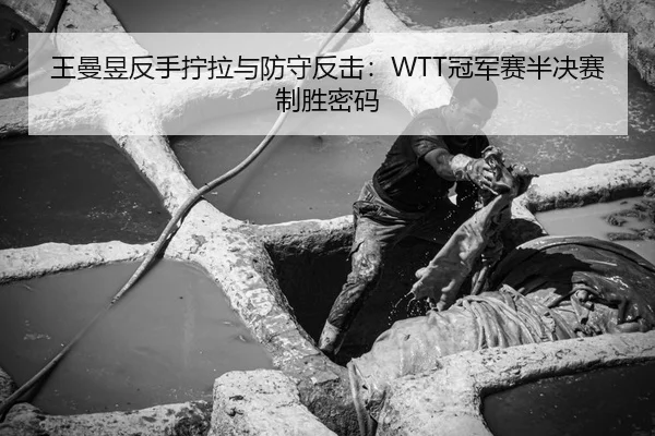 王曼昱反手拧拉与防守反击：WTT冠军赛半决赛制胜密码