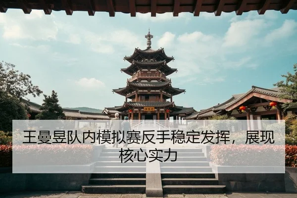 wang-man-yu-dui-nei-mo-ni-sai-fan-shou-wen-ding-fa-hui-zhan-xian-he-xin-shi-li-2-157.jpg
