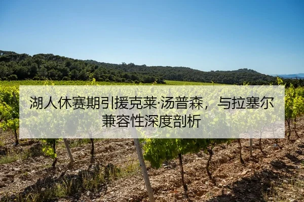 湖人休赛期引援克莱·汤普森，与拉塞尔兼容性深度剖析