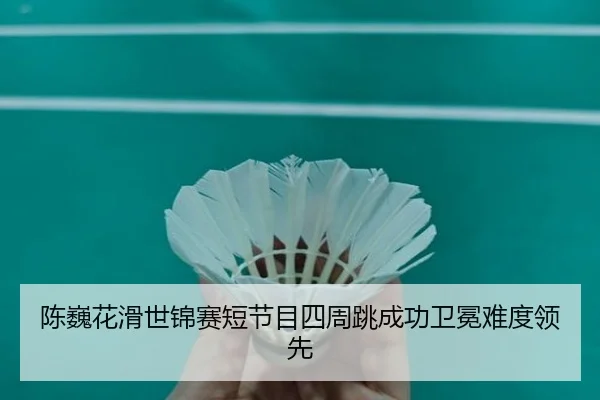 chen-wei-hua-hua-shi-jin-sai-duan-jie-mu-si-zhou-tiao-cheng-gong-wei-mian-nan-du-ling-xian-3-367.jpg