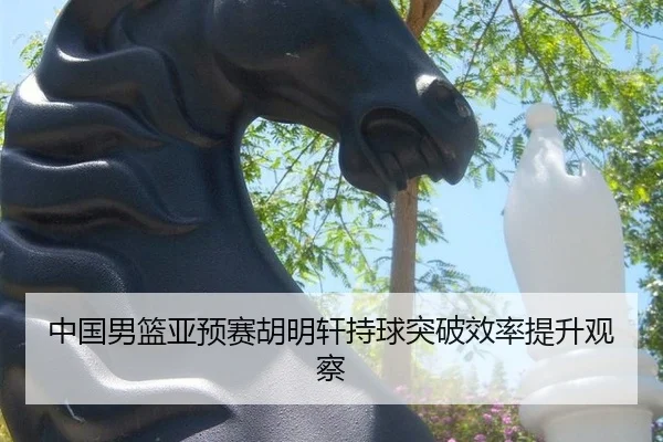 zhong-guo-nan-lan-ya-yu-sai-hu-ming-xuan-chi-qiu-tu-po-xiao-lv-ti-sheng-guan-cha-2-915.jpg