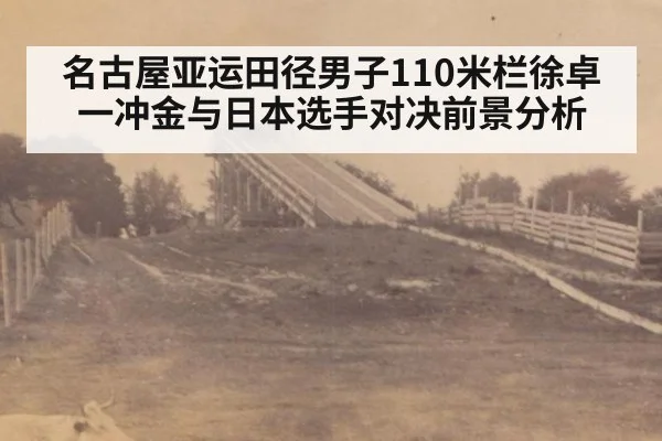 名古屋亚运田径男子110米栏徐卓一冲金与日本选手对决前景分析